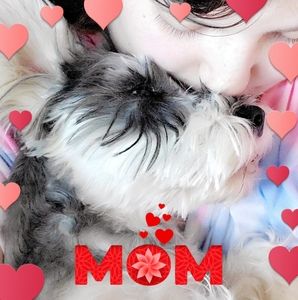 Meet your Posher, Fawn